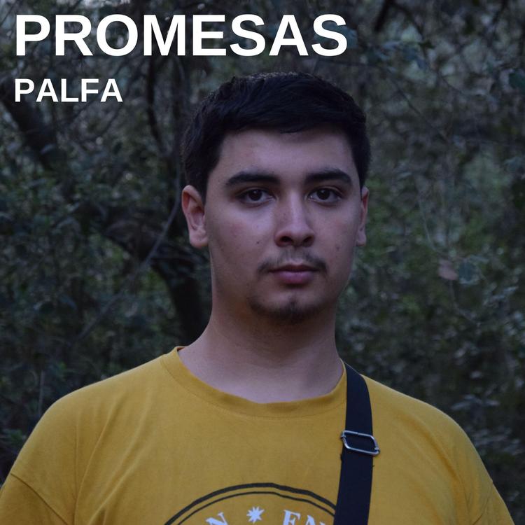 Palfa's avatar image