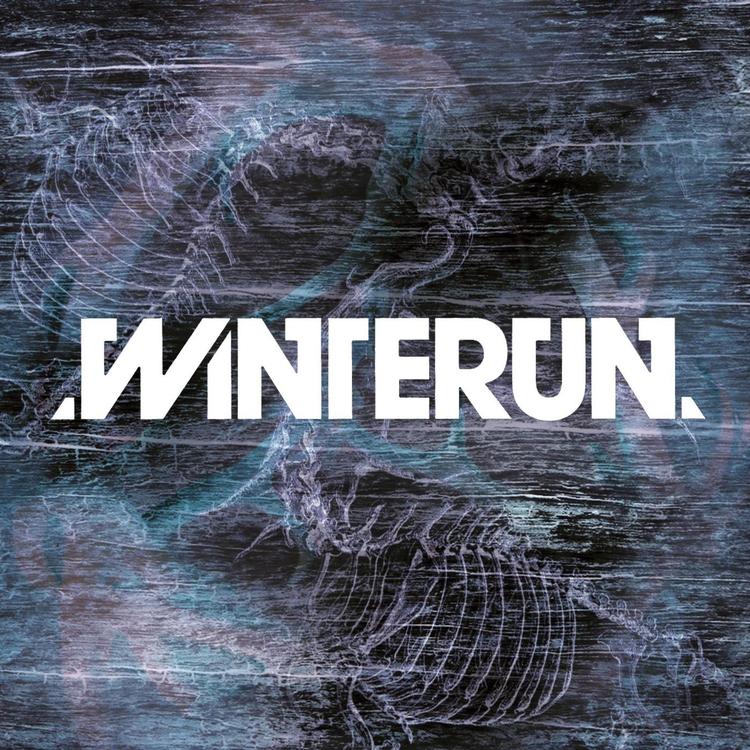 Winterun's avatar image