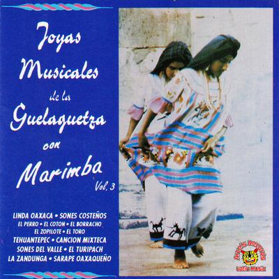 Joyas Musicales De La Guelaguetza's cover