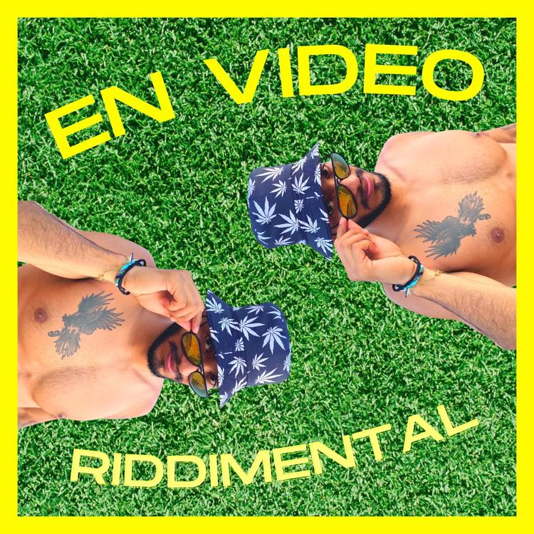 Riddimental's avatar image