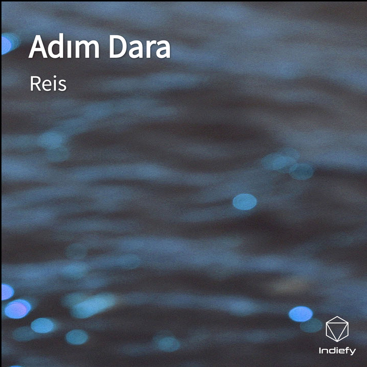 Reis's avatar image