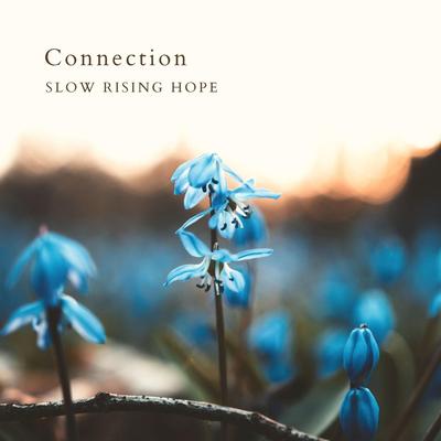From Time to Time By Slow Rising Hope's cover
