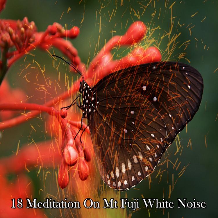 Sounds of Nature White Noise for Mindfulness Meditation and Relaxation's avatar image