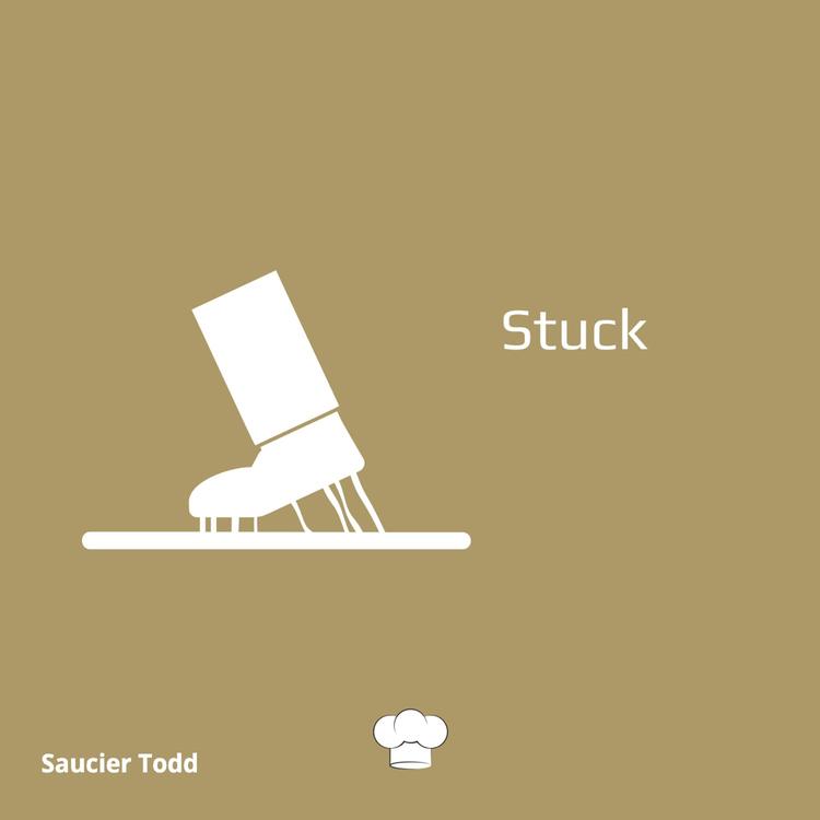 Saucier Todd's avatar image