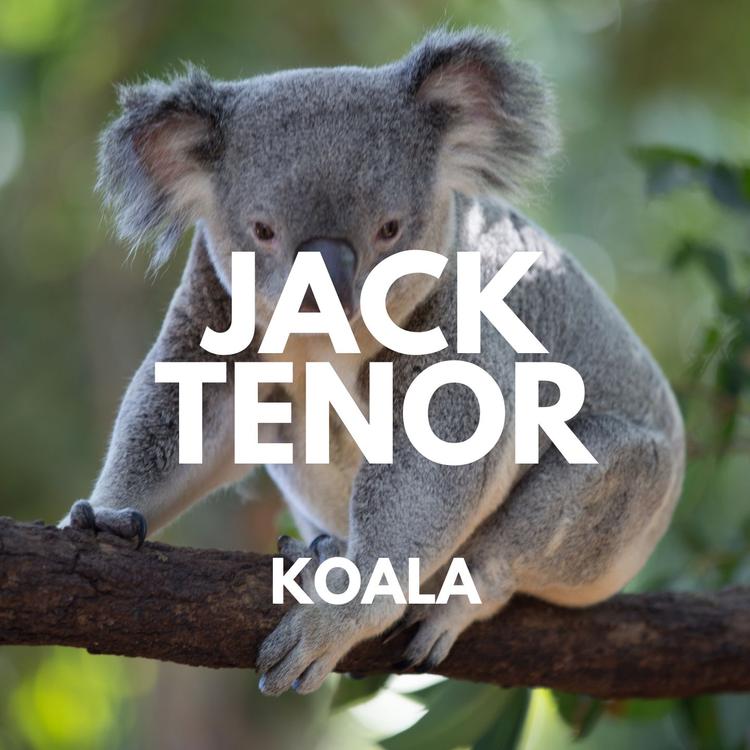 Jack Tenor's avatar image