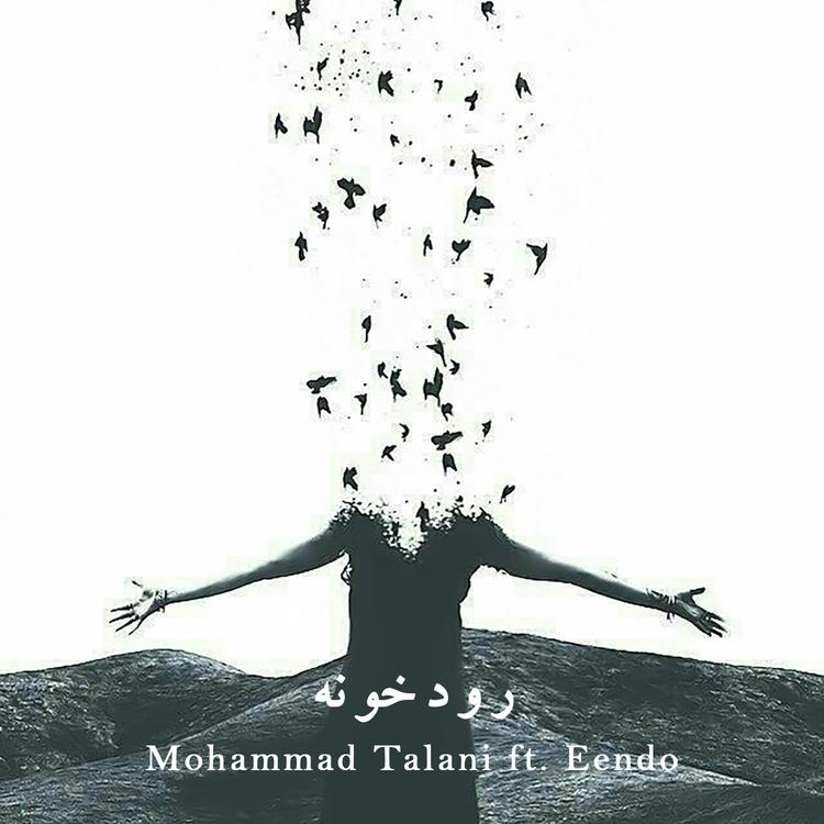 Mohammad Talani's avatar image