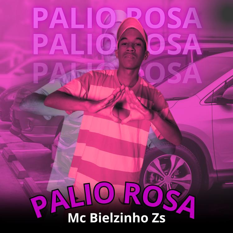 Mc Bielzinho Zs's avatar image