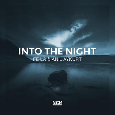 Into The Night By Fe La, Anıl Aykurt's cover
