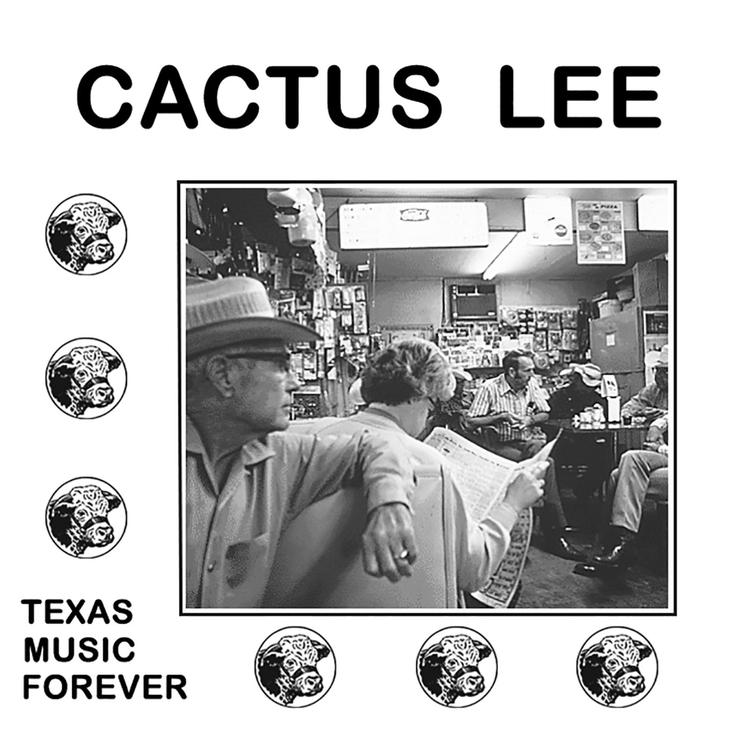 CACTUS LEE's avatar image