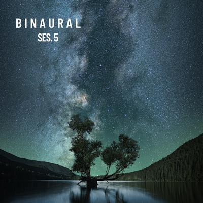 Tranquil Binaural Sounds Pt. 1's cover