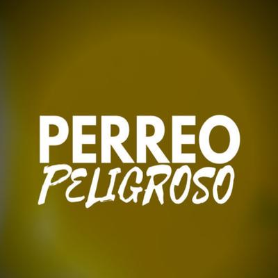 Perreo Peligroso By Mega Perreo Brasileño's cover