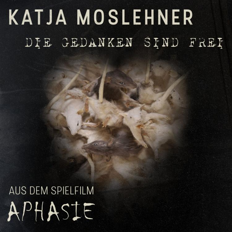 Katja Moslehner's avatar image