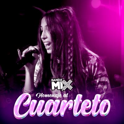 Homenaje al Cuarteto (En Vivo)'s cover