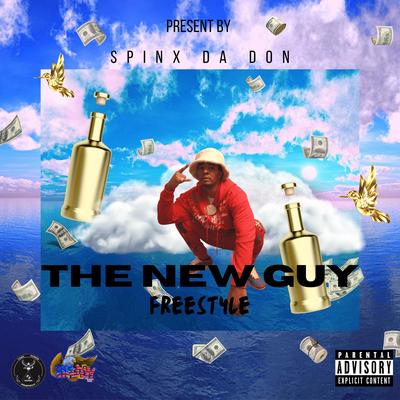 The New Guy (Freestyle)'s cover