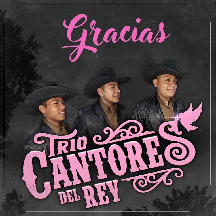 Trío Cantores del Rey's avatar image