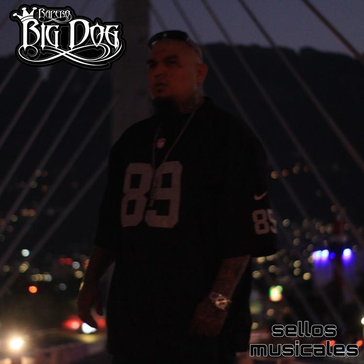 Rapero BigDog's avatar image