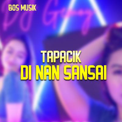 TAPACIK DI NAN SANSAI's cover