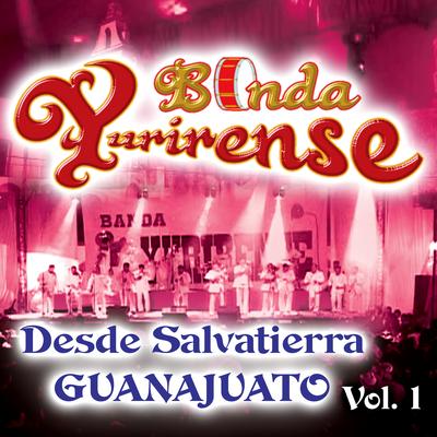 Desde Salvatierra Guanajuato, Vol. 1 (En Vivo)'s cover