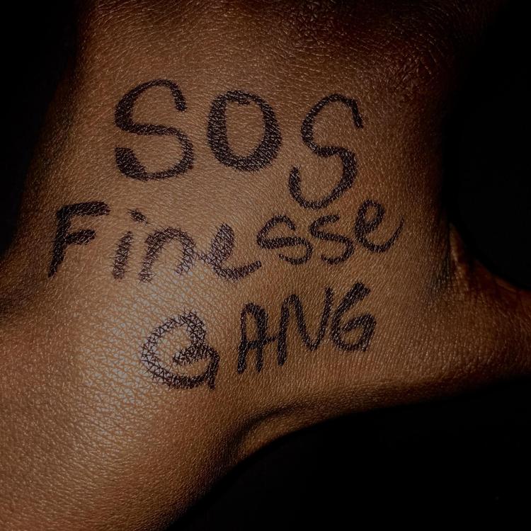 Sos Finesse Gang's avatar image