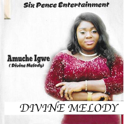 Amuche Igwe's cover
