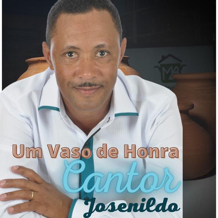 Cantor Josenildo's avatar image