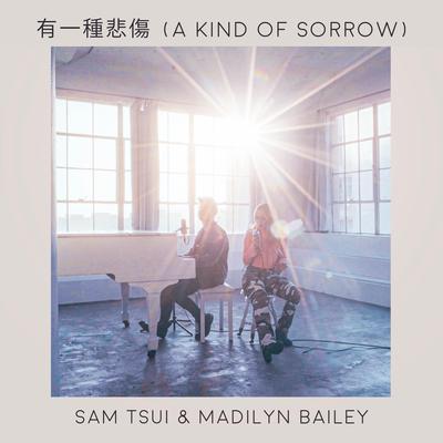 有一種悲傷 By Sam Tsui, Madilyn Bailey's cover