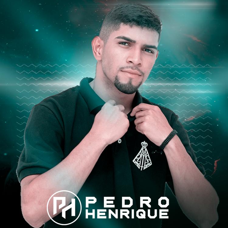Pedro Henrique's avatar image
