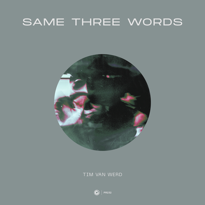 Same Three Words By Tim Van Werd's cover