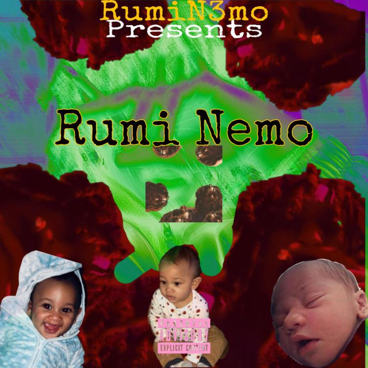 RumiN3mo's avatar image