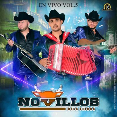 En Vivo Vol.5's cover