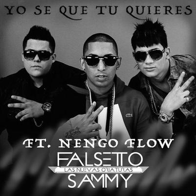 Yo Sé Que Tú Quieres By Sammy & Falsetto, Ñengo Flow's cover