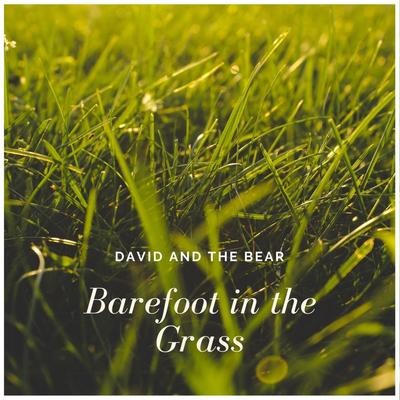 Barefoot in the Grass By David and the Bear's cover