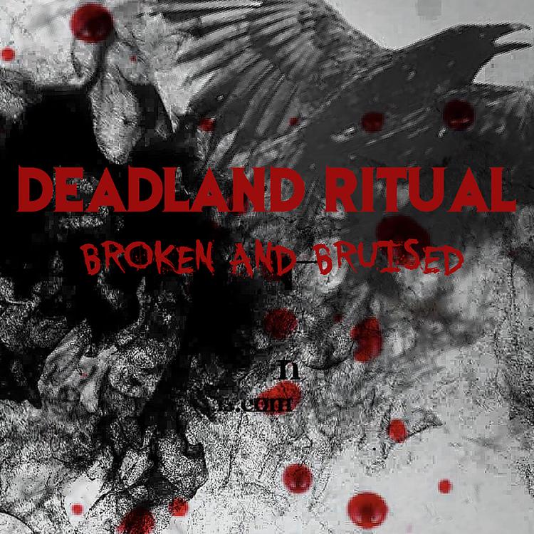 Deadland Ritual's avatar image