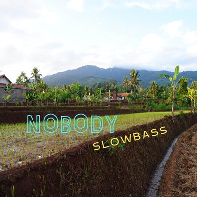 NOBODY BASS's cover