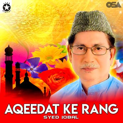 Aqeedat Ke Rang's cover