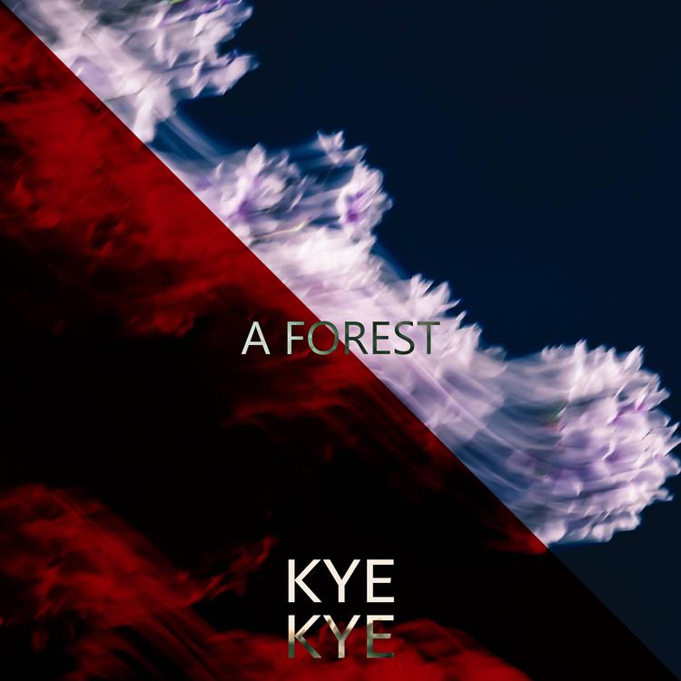 Kye Kye's avatar image