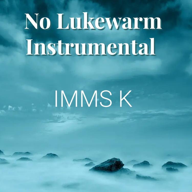 IMMS  K's avatar image