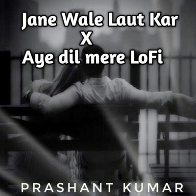 Jaane Wale Laut Kar X Aye Dil Mere LoFi Version's cover