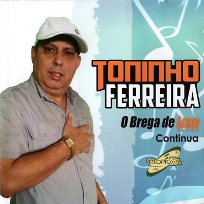 Tou Indo Embora (Minha Senhora) By Toninho Ferreira's cover
