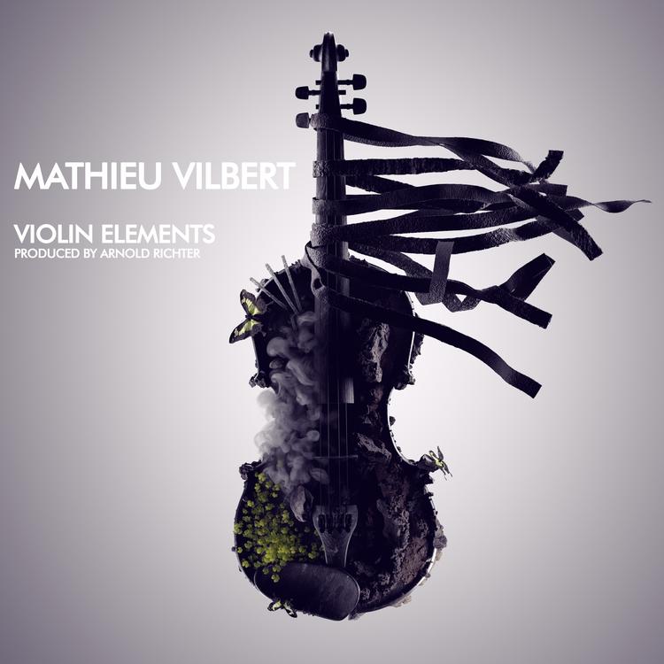 Mathieu Vilbert's avatar image