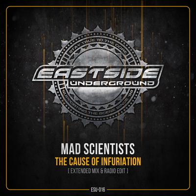 The Cause of Infuriation (Radio Edit) By Mad Scientists's cover