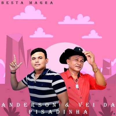 Balada Prime (Ao Vivo) By Anderson & Vei da Pisadinha's cover