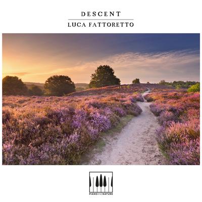 Descent By Luca Fattoretto's cover