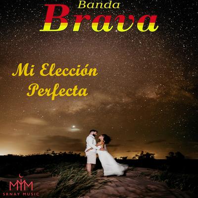 Mi Eleccion Perfecta's cover