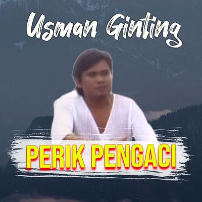 Perik Pengaci's cover