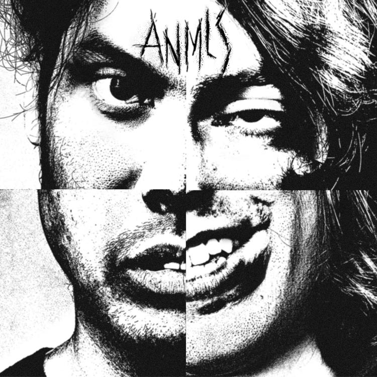 Anmls's avatar image