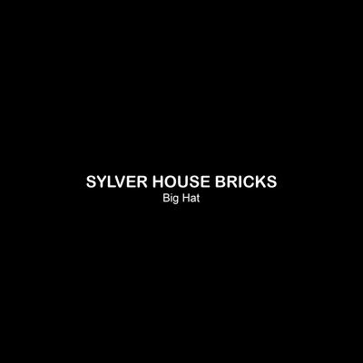 Sylver House Bricks's cover