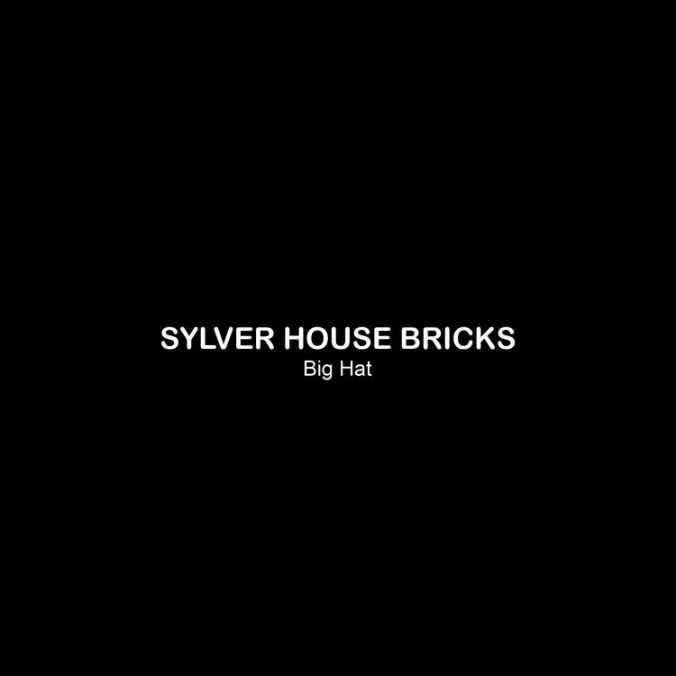 Sylver House Bricks's avatar image