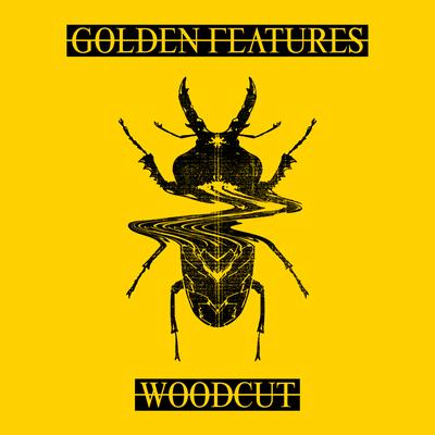 Woodcut (feat. Rromarin) [Remixes]'s cover