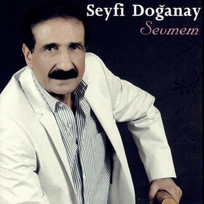 Saçımın Akına Bakma Sultanım's cover